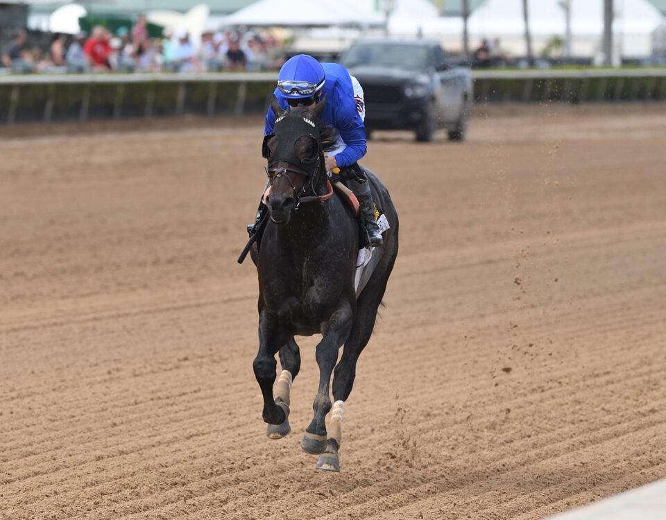 Knightsbridge - Coglianese Photo - Ryan Thompson