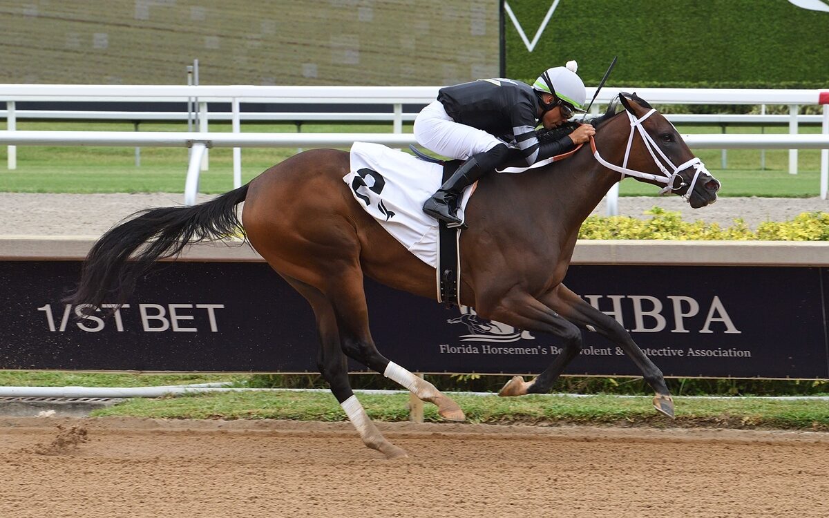 Mon Coquette - Ryan Thompson - Coglianese Photo