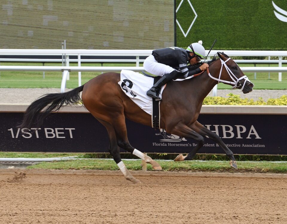 Mon Coquette - Ryan Thompson - Coglianese Photo