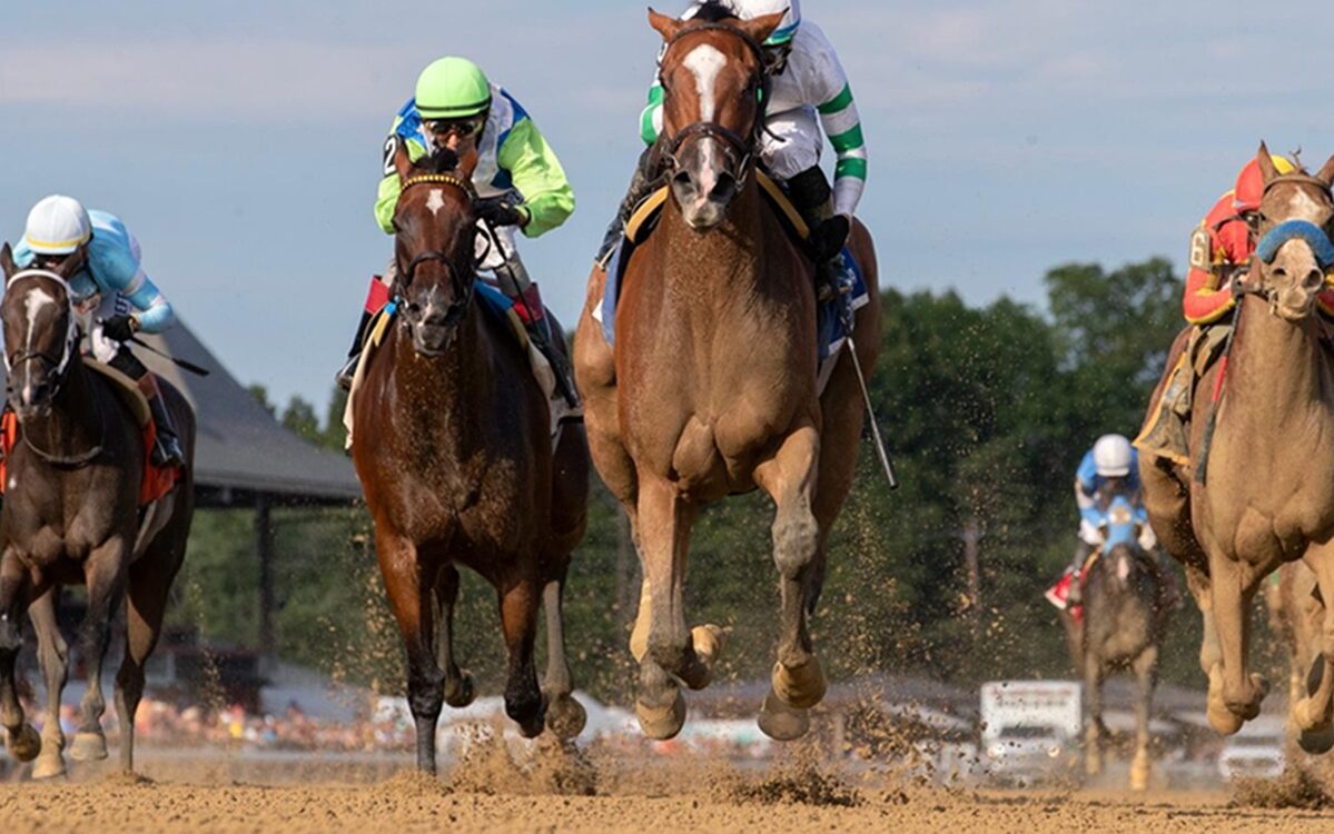 Munnings Express - Johnstone Stakes - Saratoga - Barbara D. Livingston - Daily Racing Form