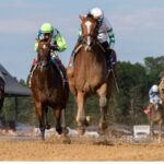 Munnings Express - Johnstone Stakes - Saratoga - Barbara D. Livingston - Daily Racing Form
