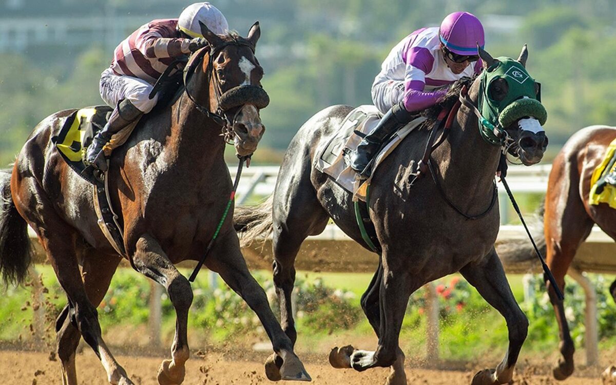 Net Par - Graduation Stakes - Del Mar - Benoit Photo, CA