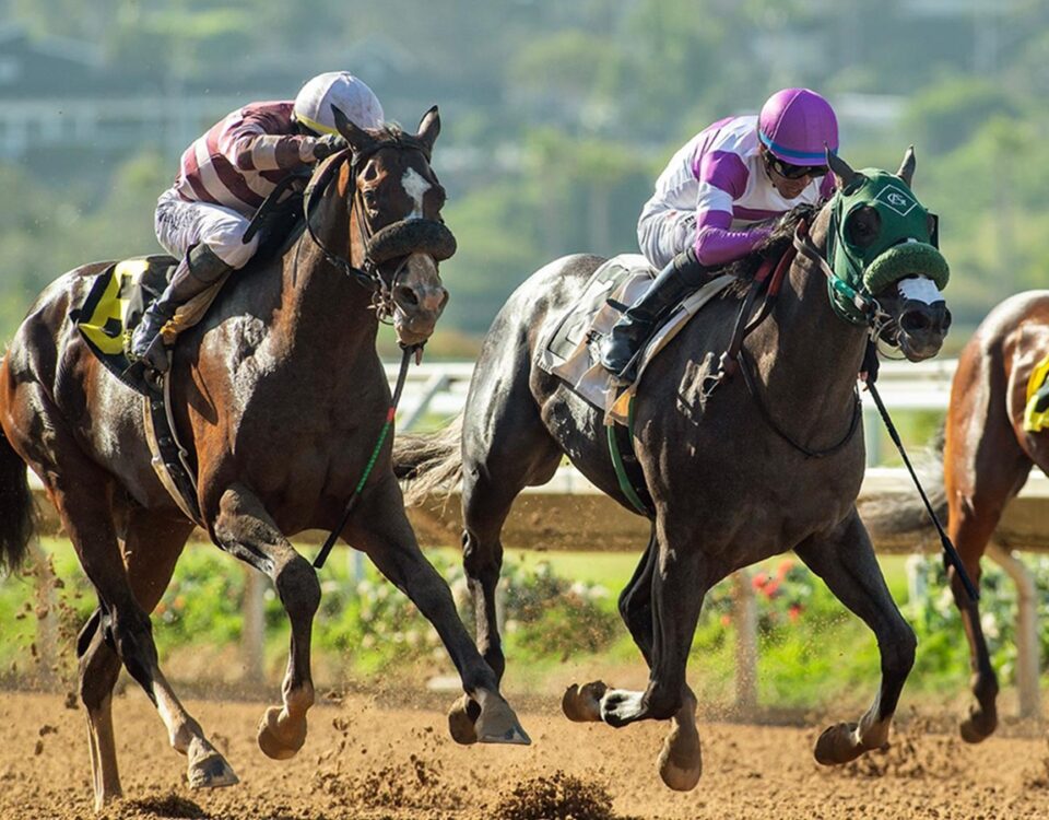 Net Par - Graduation Stakes - Del Mar - Benoit Photo, CA