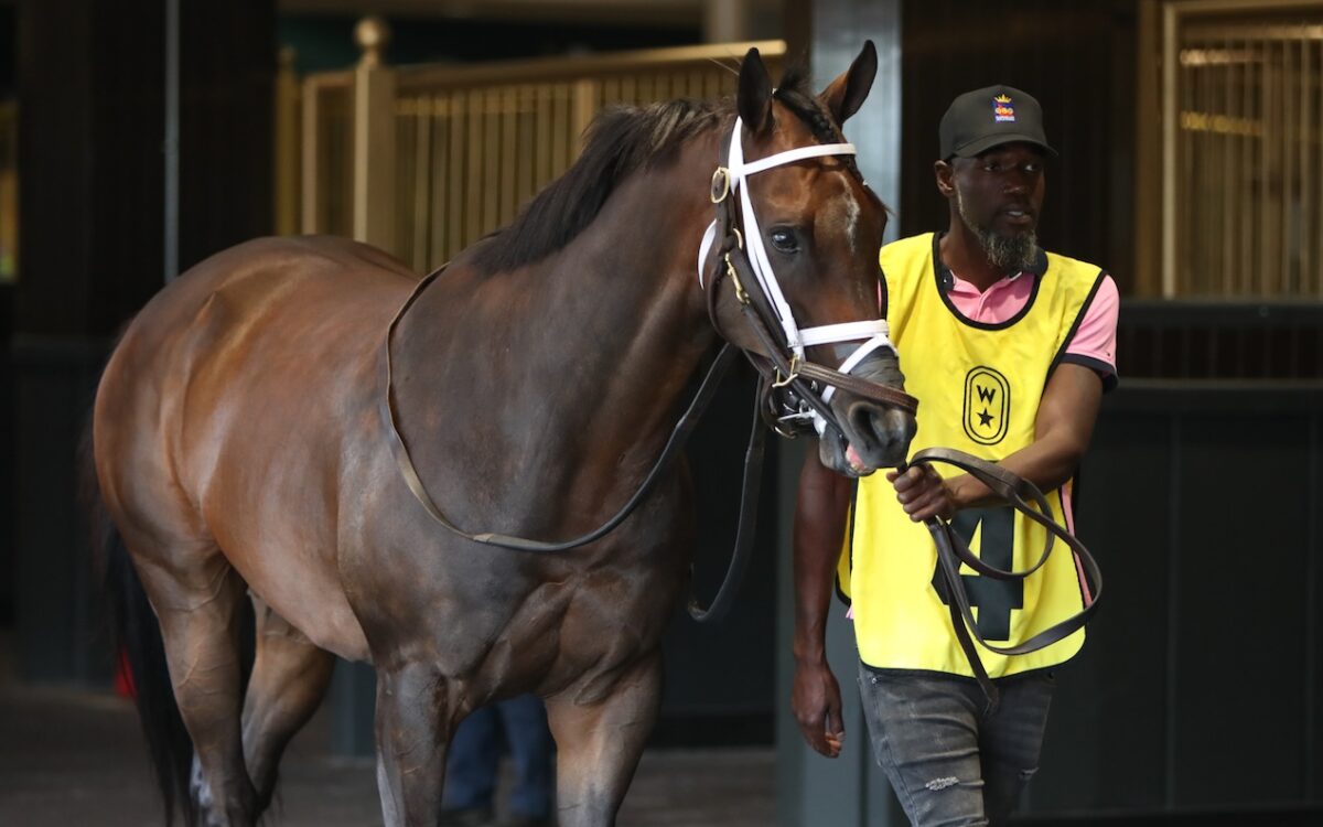 Outlaw Kid - Julie Wright - Daily Racing Form