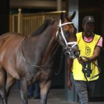 Outlaw Kid - Julie Wright - Daily Racing Form