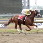 Ponder and Dream - EQUI-PHOTO