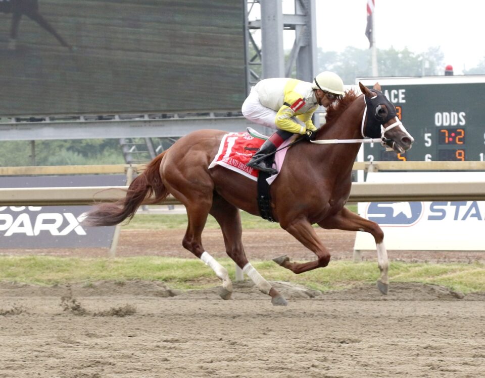 Ponder and Dream - EQUI-PHOTO