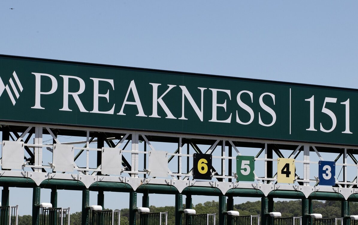 Preakness 151 - Barbara D. Livingston - Daily Racing Form