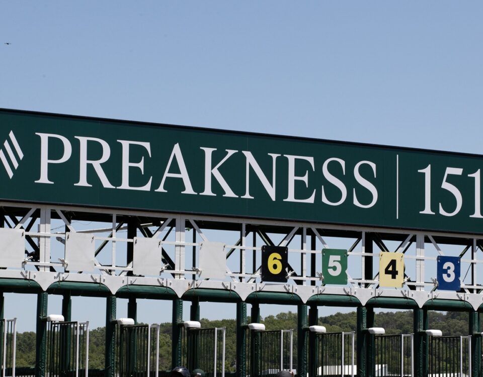 Preakness 151 - Barbara D. Livingston - Daily Racing Form