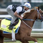 Robby Albarado - Barbara D. Livingston - Daily Racing Form