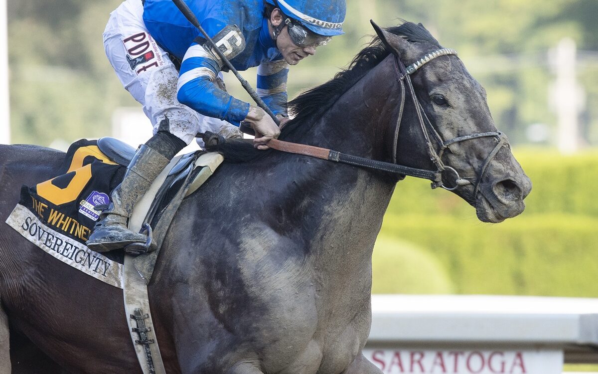 Sovereignty - Barbara D. Livingston - Daily Racing Form
