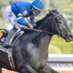 Sovereignty - Barbara D. Livingston - Daily Racing Form