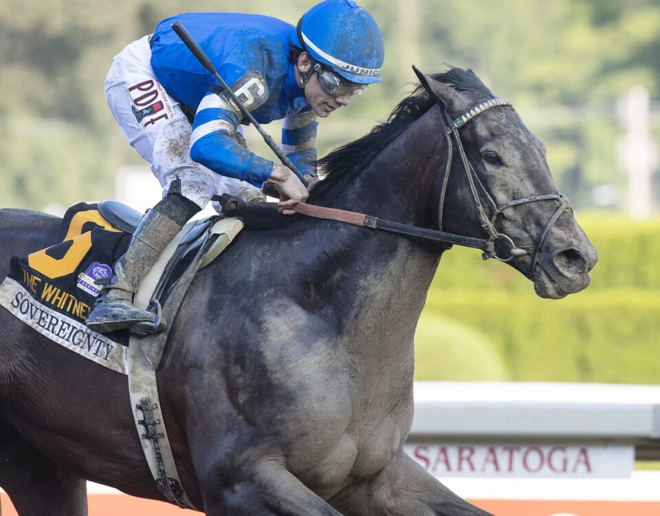 Sovereignty - Barbara D. Livingston - Daily Racing Form