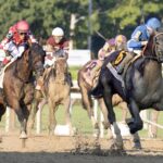 Sovereignty - Whitney G1 - Barbara D. Livingston - Daily Racing Form