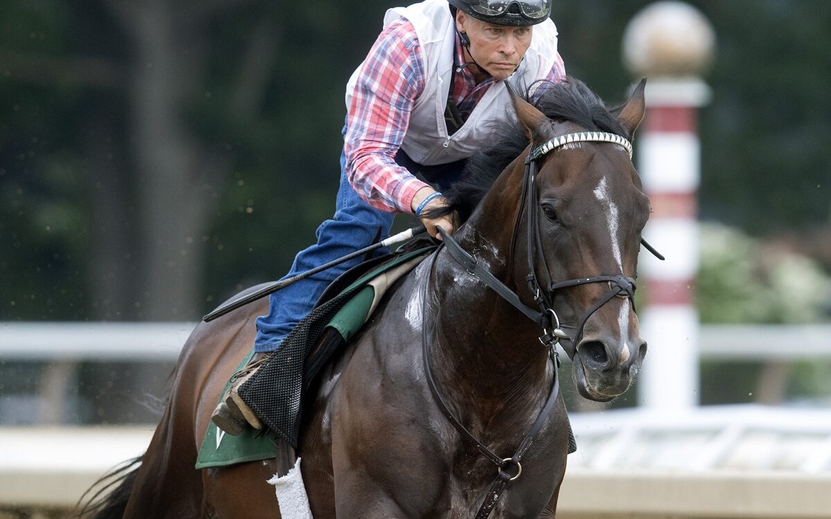 Sovereignty - Barbara D. Livingston - Daily Racing Form