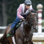 Sovereignty - Barbara D. Livingston - Daily Racing Form