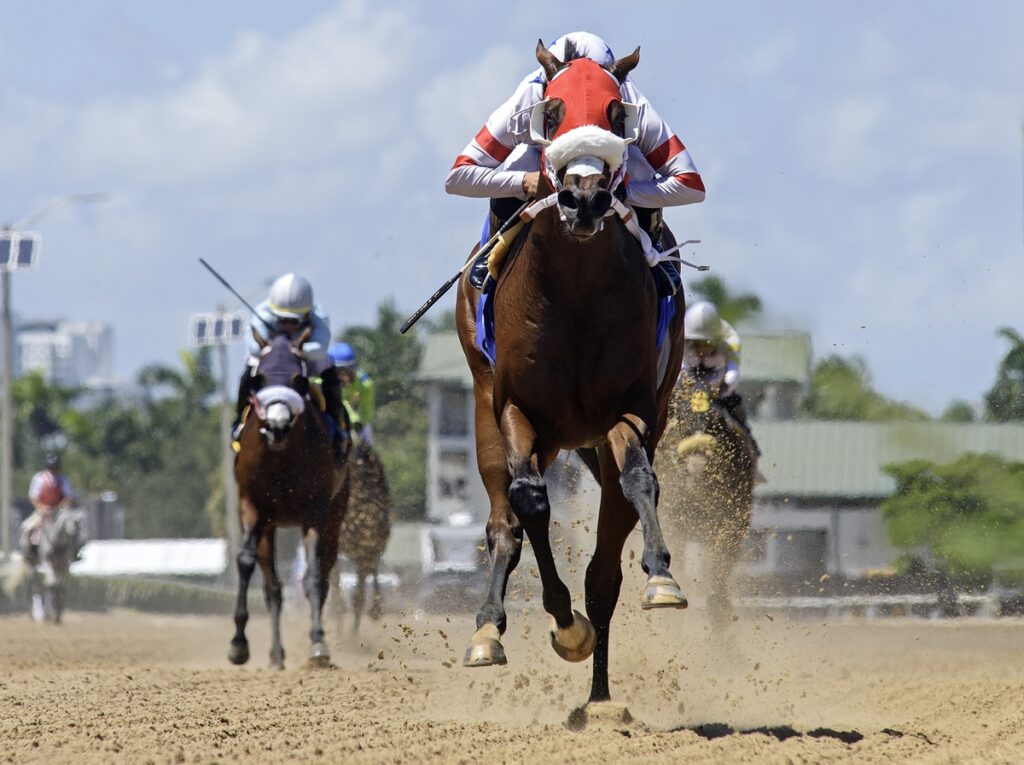Sum of Success - the In Summation - credit Ryan Thompson - Coglianese Photo
