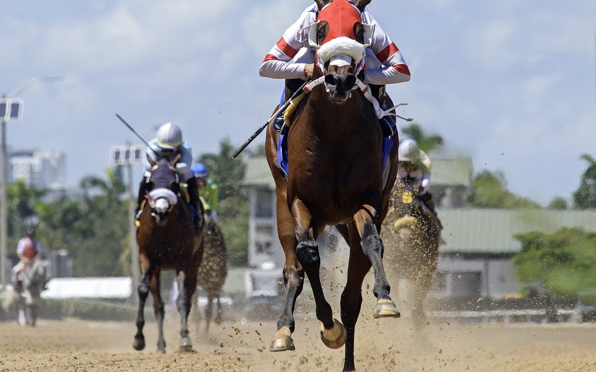 Sum of Success - the In Summation - credit Ryan Thompson - Coglianese Photo