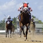 Sum of Success - the In Summation - credit Ryan Thompson - Coglianese Photo