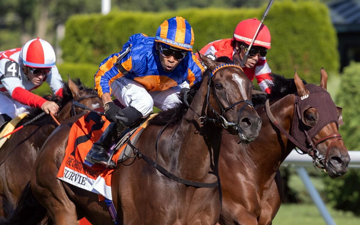 Survie (Ire) - Christophe Clement Turf Stakes G1 - Saratoga - Barbara D. Livingston - Daily Racing Form