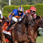 Survie (Ire) - Christophe Clement Turf Stakes G1 - Saratoga - Barbara D. Livingston - Daily Racing Form