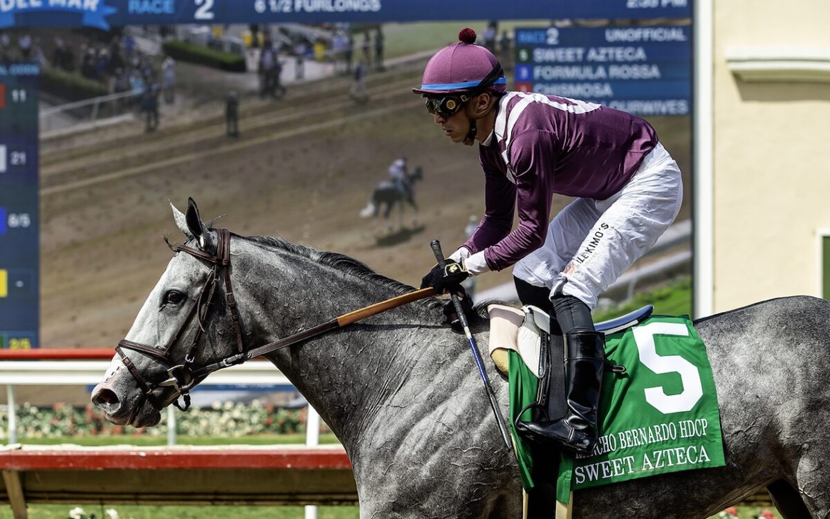 Sweet Azteca - Benoit Photo