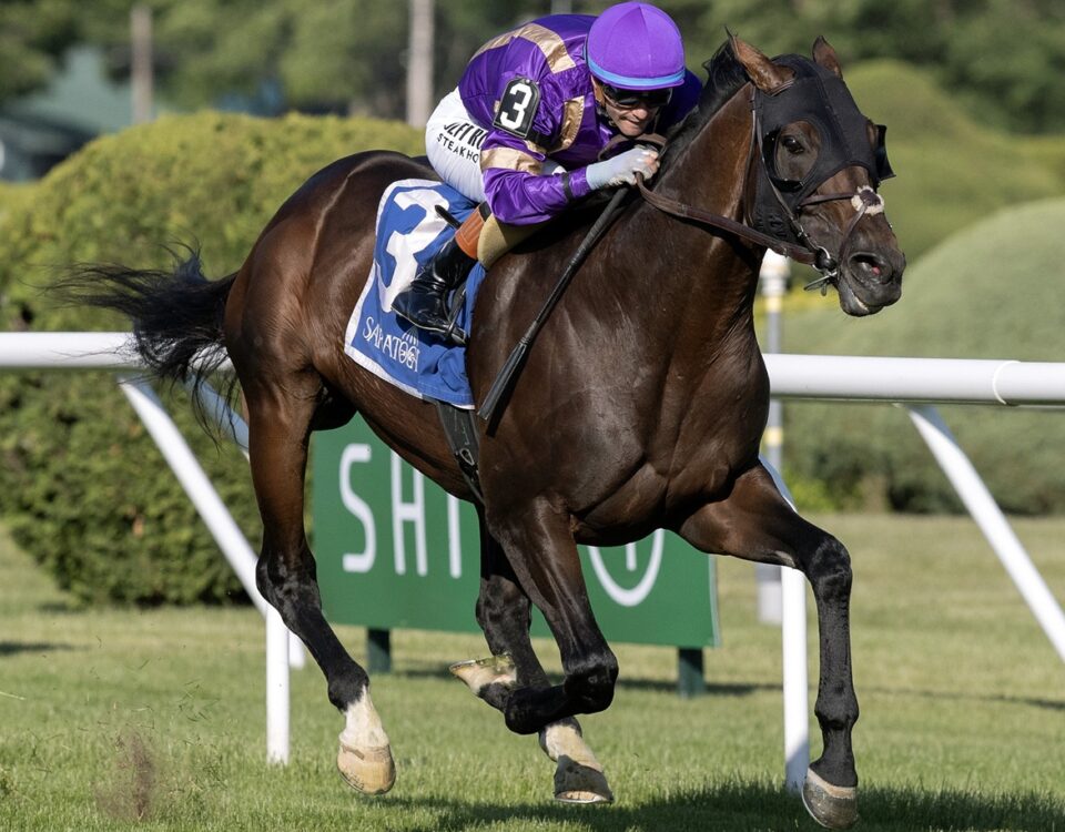Tawny Port - Barbara D. Livingston - Daily Racing Form