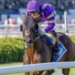 Tawny Port - Spinaway - Debra Roma - Daily Racing Form