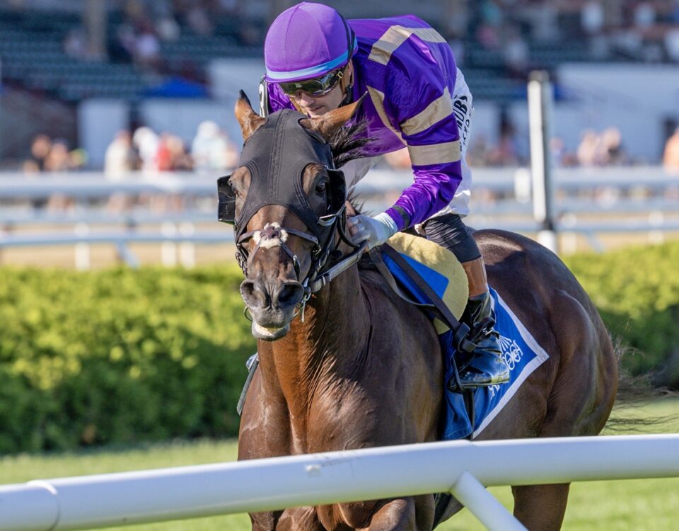 Tawny Port - Spinaway - Debra Roma - Daily Racing Form