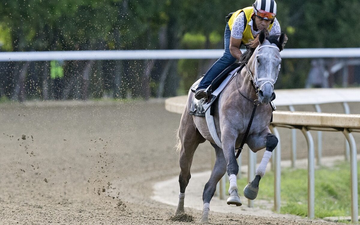 Ted Noffey - Barbara D. Livingston - Daily Racing Form