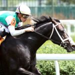 Touch of Fire - Coady Media