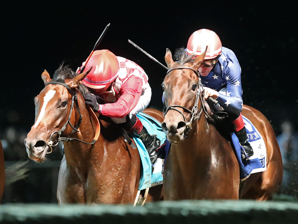 NICHE - The Charles Town Oaks G2 - Charles Town - Renee Torbit / Coady Media
