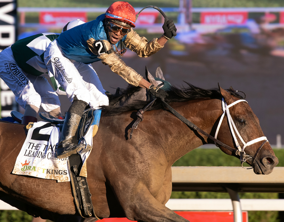 Leading Change - Barbara D. Livingston - Daily Racing Form