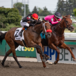 Paramount Prince - Seagram Cup G3 - Julie Wright - Daily Racing Form