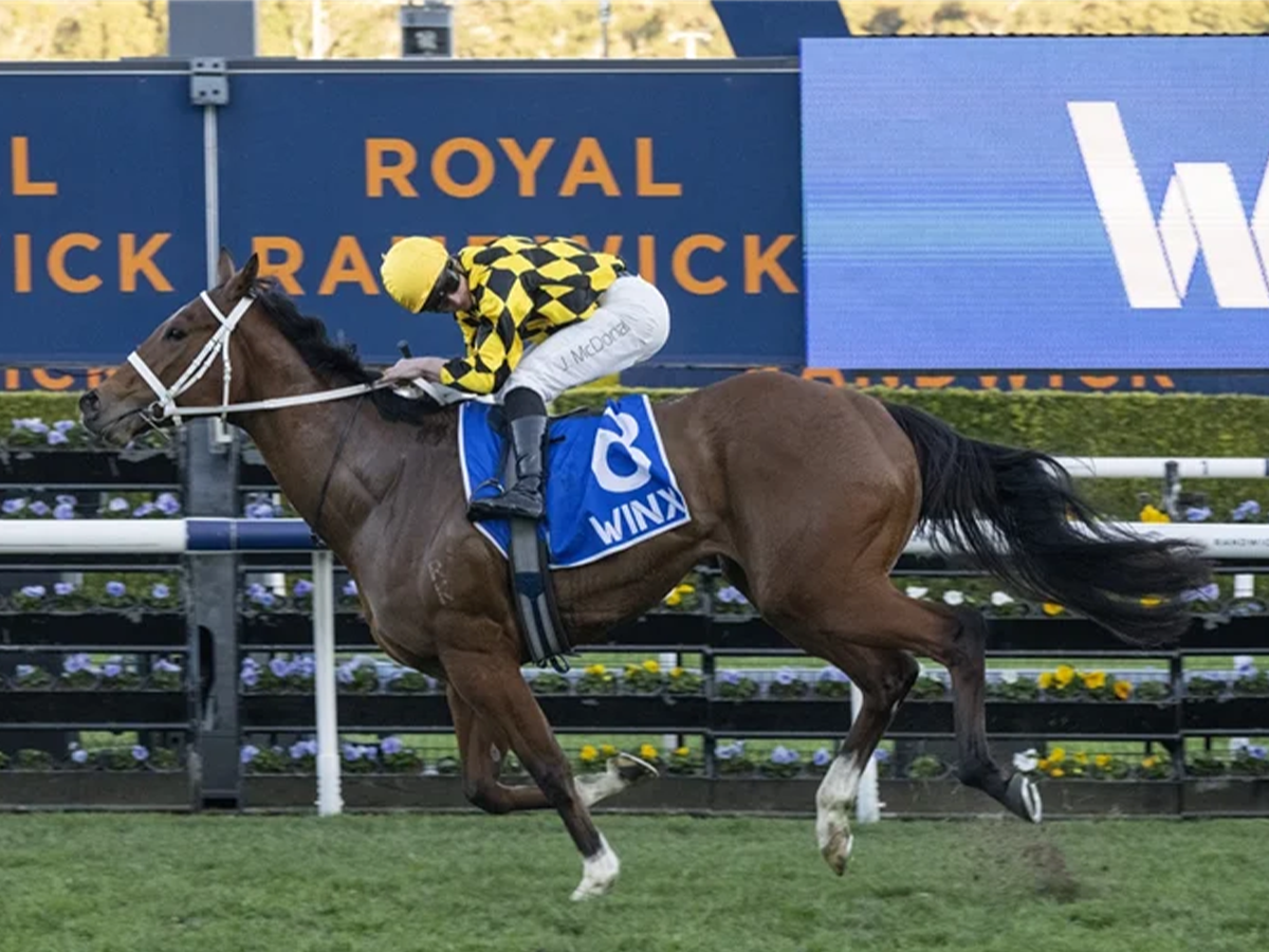 Autumn Glow winning the WINX STAKES (G1) at Randwick in Australia Picture: Bradly Photos