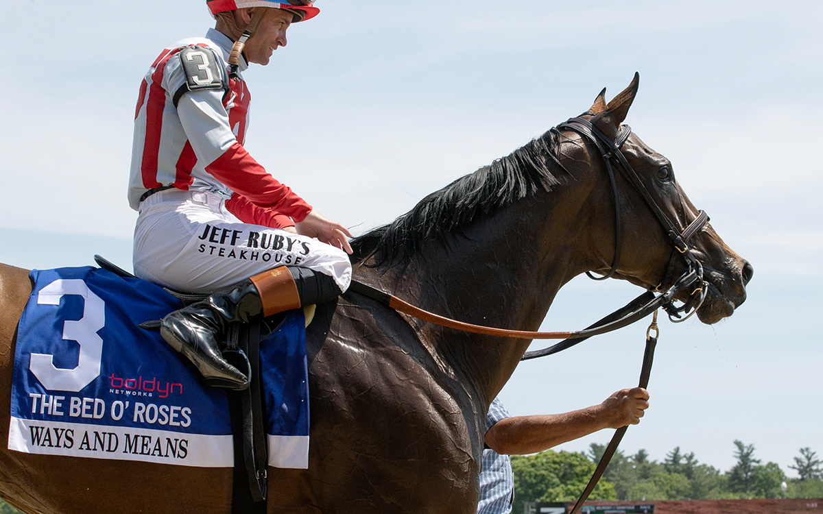 Ways and Means – Barbara D. Livingston – Daily Racing Form
