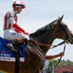 Ways and Means – Barbara D. Livingston – Daily Racing Form