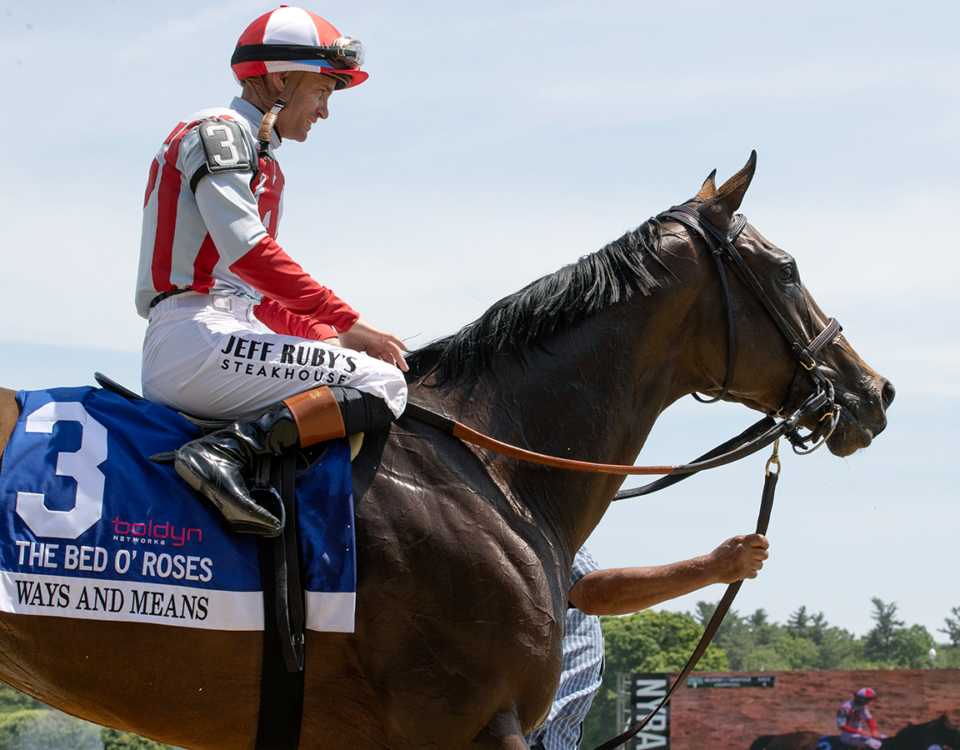 Ways and Means – Barbara D. Livingston – Daily Racing Form