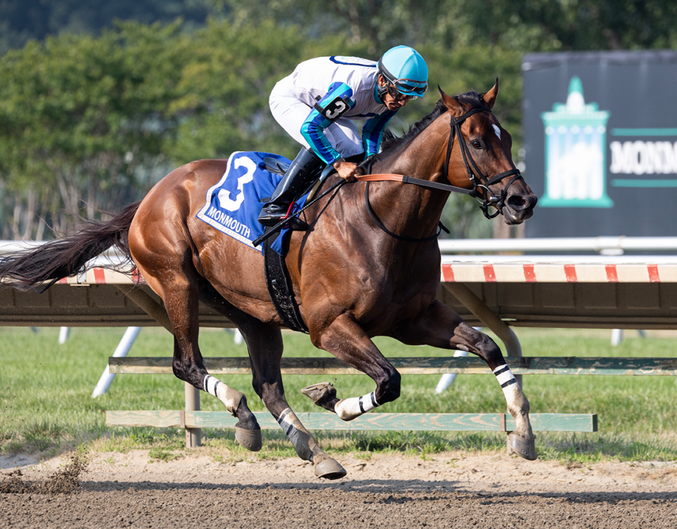 Book'em Danno - Photo By Taylor Ejdys/EQUI-PHOTO