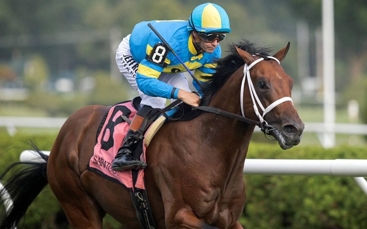 Wood Island - Skidmore Stakes - Saratoga - Barbara D. Livingston - Daily Racing Form