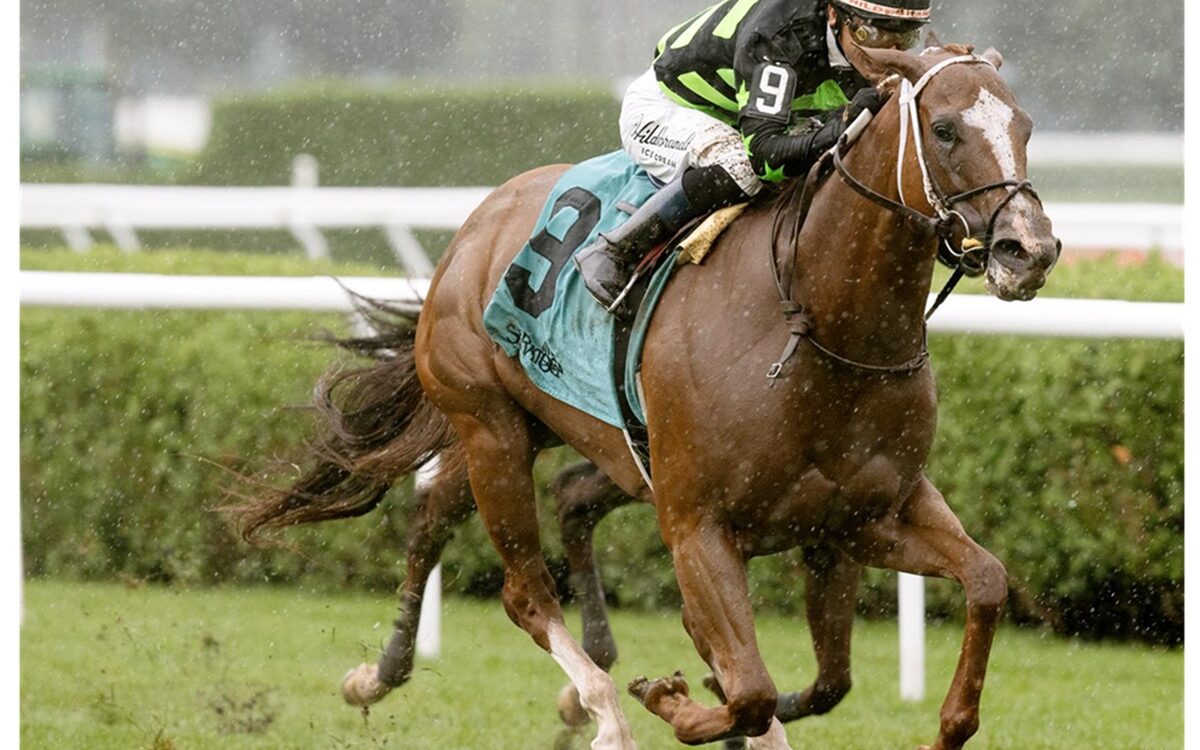 Zeitlos - Smart And Fancy Stakes - Saratoga - Barbara D. Livingston - Daily Racing Form