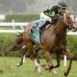 Zeitlos - Smart And Fancy Stakes - Saratoga - Barbara D. Livingston - Daily Racing Form