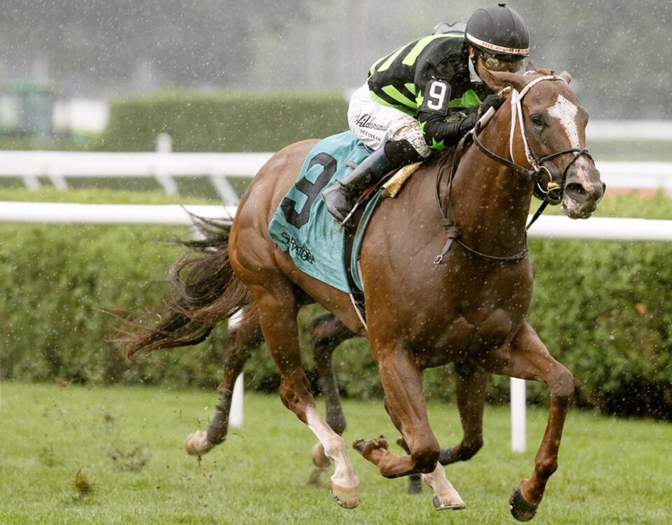 Zeitlos - Smart And Fancy Stakes - Saratoga - Barbara D. Livingston - Daily Racing Form