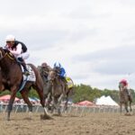 Bodacious Bay - Cotillion Stakes G1 $1,000,000 at Parx. Photo by Ryan Denver/EQUI-PHOTO.