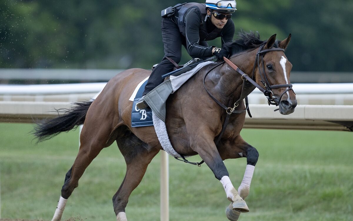 Always a Runner - Barbara D. Livingston - Daily Racing Form