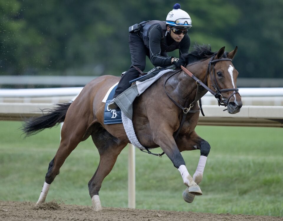 Always a Runner - Barbara D. Livingston - Daily Racing Form