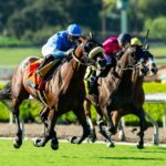 Atitlan -John Henry Turf Championship Stakes G2 - Santa Anita Park - BENOIT Photo