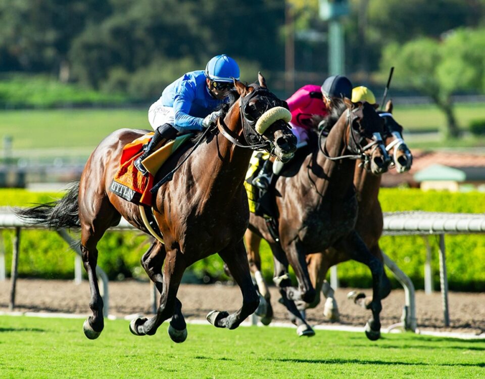 Atitlan -John Henry Turf Championship Stakes G2 - Santa Anita Park - BENOIT Photo