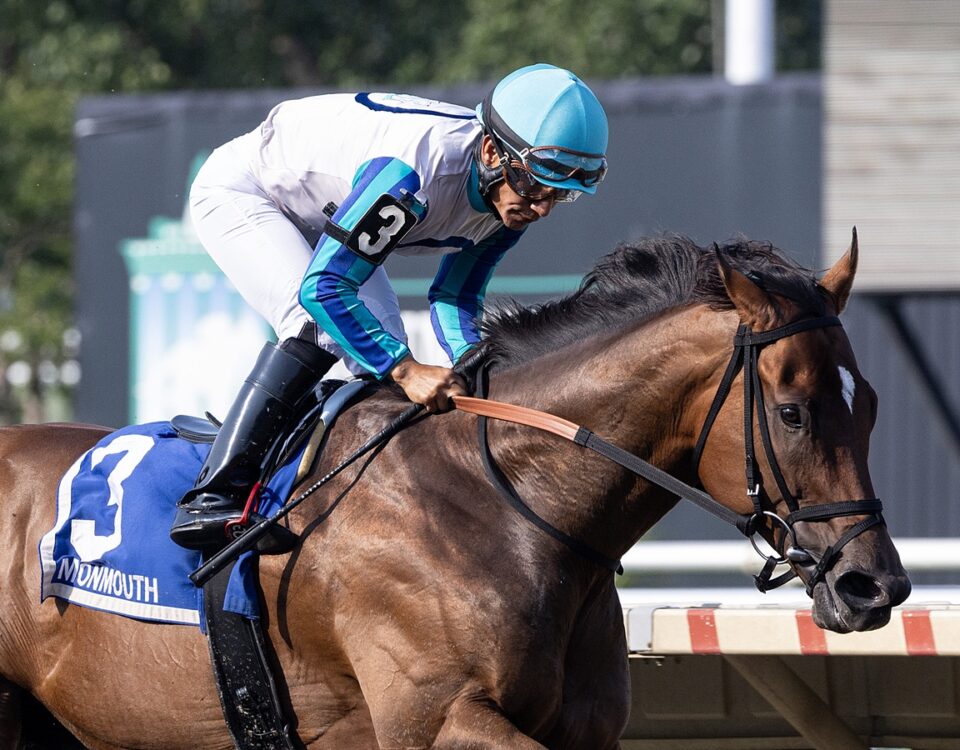 Book'em Danno - Photo By Taylor Ejdys/EQUI-PHOTO