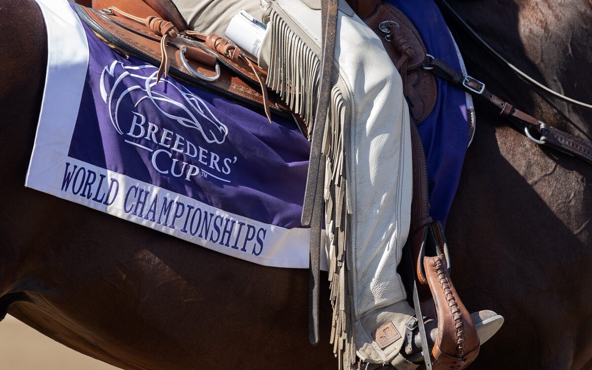 Breeders' Cup saddle towel - Barbara D. Livingston - Daily Racing Form